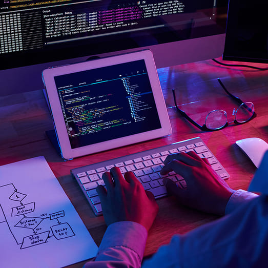 Desenvolvedor E-commerce